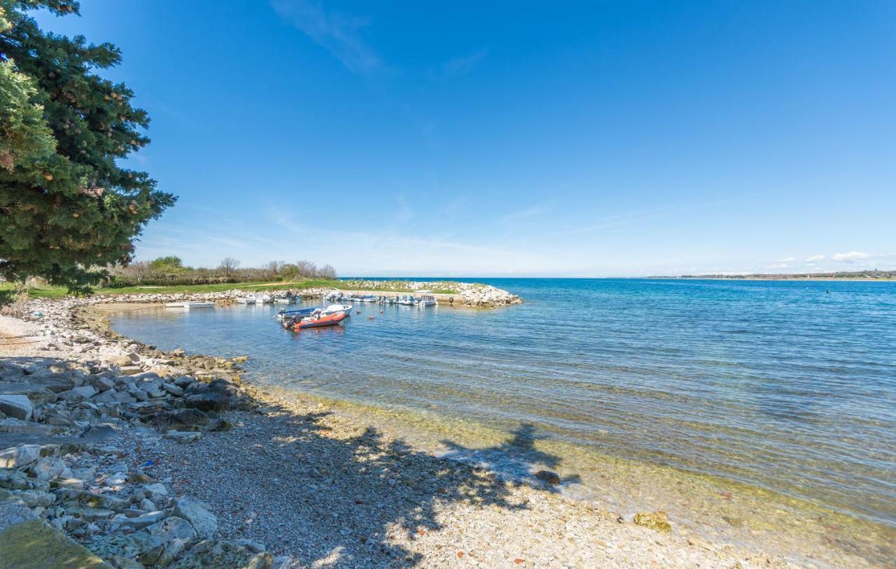 Apartment Valerio Novigrad Istria Dış mekan fotoğraf